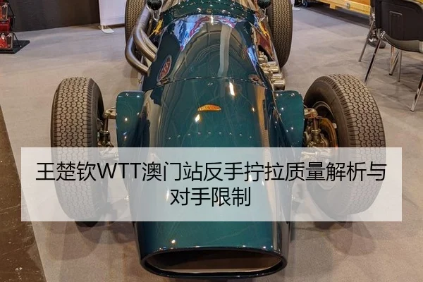 wang-chu-qin-ao-men-zhan-fan-shou-ning-la-zhi-liang-jie-xi-yu-dui-shou-xian-zhi-3-361.jpg