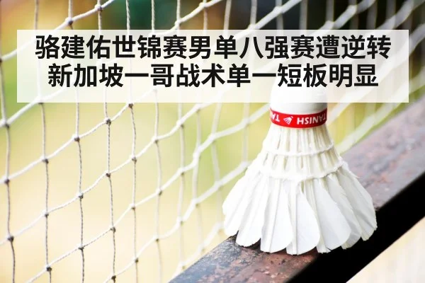 骆建佑世锦赛男单八强赛遭逆转 新加坡一哥战术单一短板明显